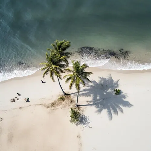Palm-fringed sand and turquoise shallows at Mirissa Beach