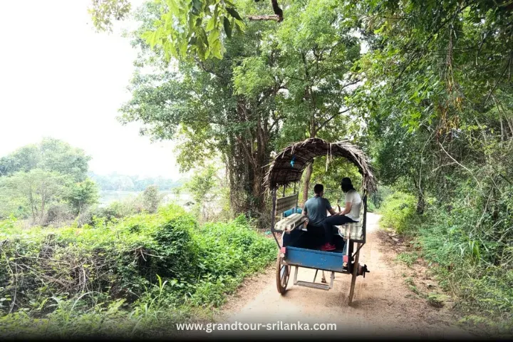 Travellers riding a tuk-tuk along a green country lane